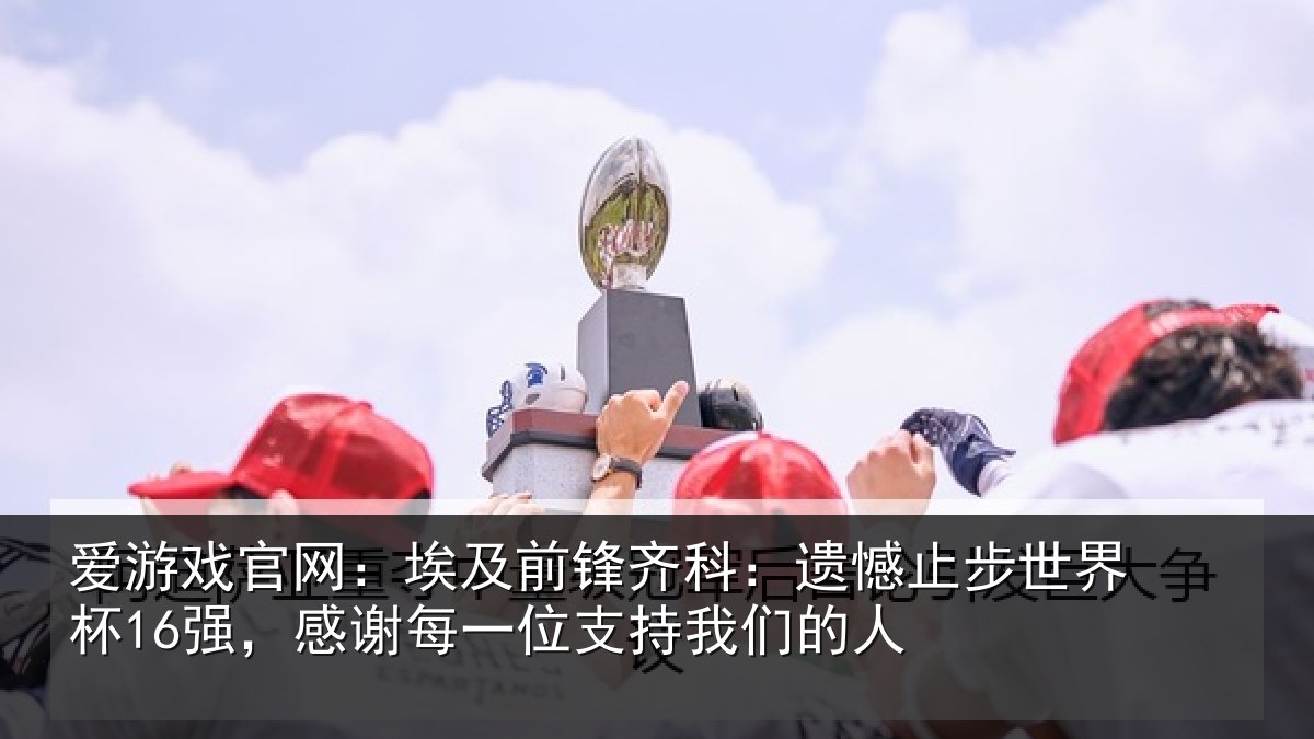 爱游戏官网：埃及前锋齐科：遗憾止步世界杯16强，感谢每一位支持我们的人