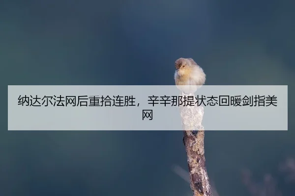 na-da-er-fa-wang-hou-zhong-shi-lian-sheng-xin-xin-na-ti-zhuang-tai-hui-nuan-jian-zhi-mei-wang-2-421.jpg
