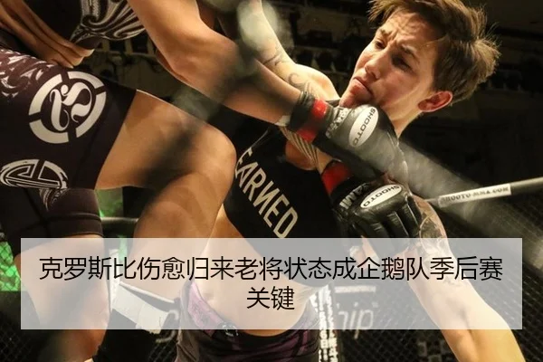 克罗斯比伤愈归来老将状态成企鹅队季后赛关键