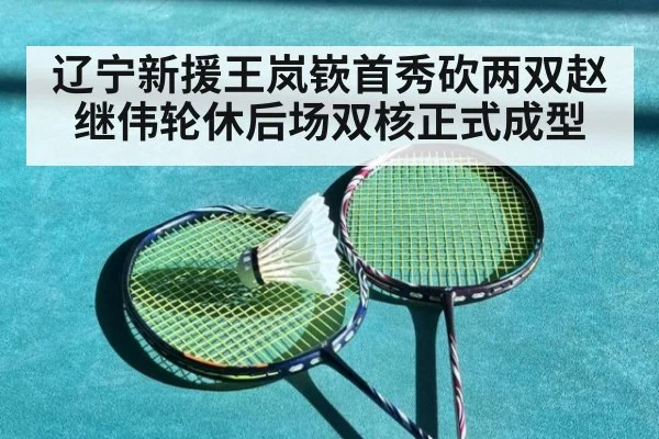 辽宁新援王岚嵚首秀砍两双赵继伟轮休后场双核正式成型